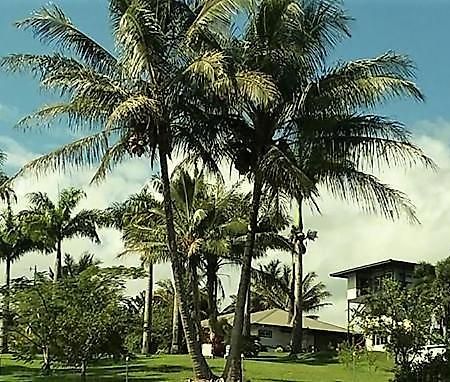 Island Goode'S - Luxury Adult Only Accommodation Near Hilo Papaikou Εξωτερικό φωτογραφία