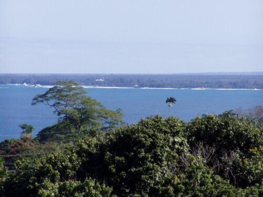 Island Goode'S - Luxury Adult Only Accommodation Near Hilo Papaikou Εξωτερικό φωτογραφία