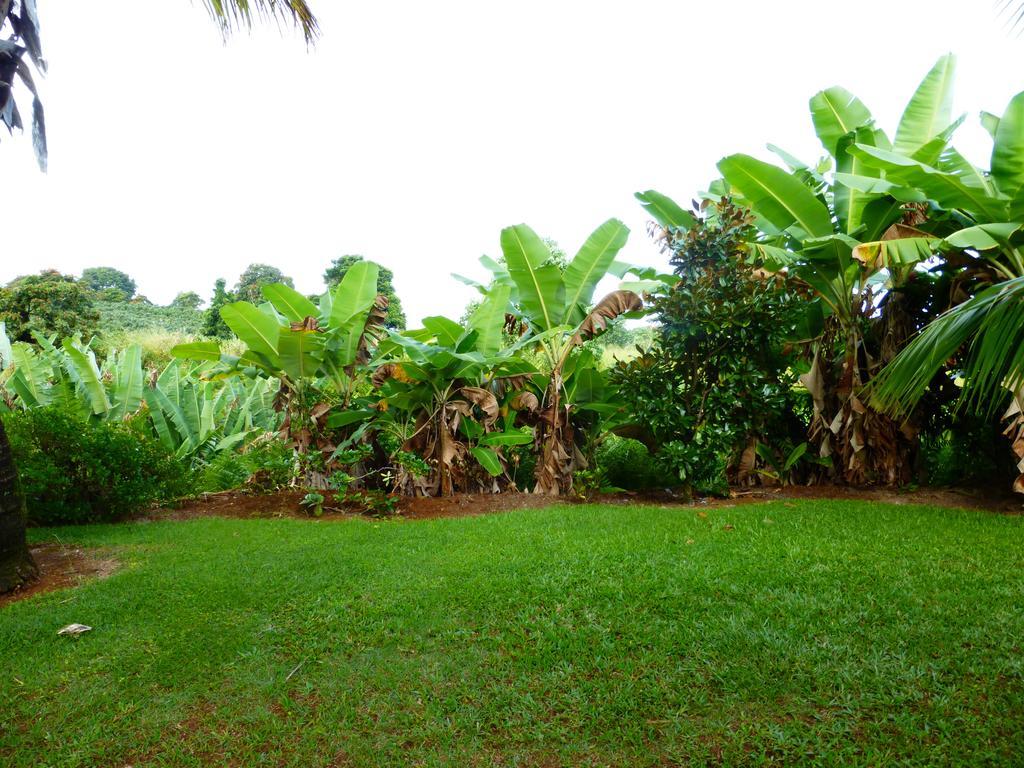 Island Goode'S - Luxury Adult Only Accommodation Near Hilo Papaikou Εξωτερικό φωτογραφία