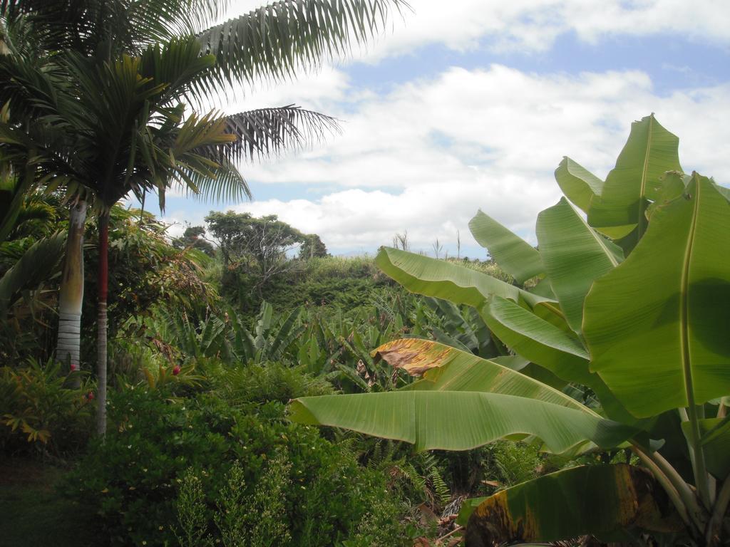 Island Goode'S - Luxury Adult Only Accommodation Near Hilo Papaikou Εξωτερικό φωτογραφία