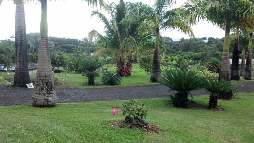 Island Goode'S - Luxury Adult Only Accommodation Near Hilo Papaikou Εξωτερικό φωτογραφία