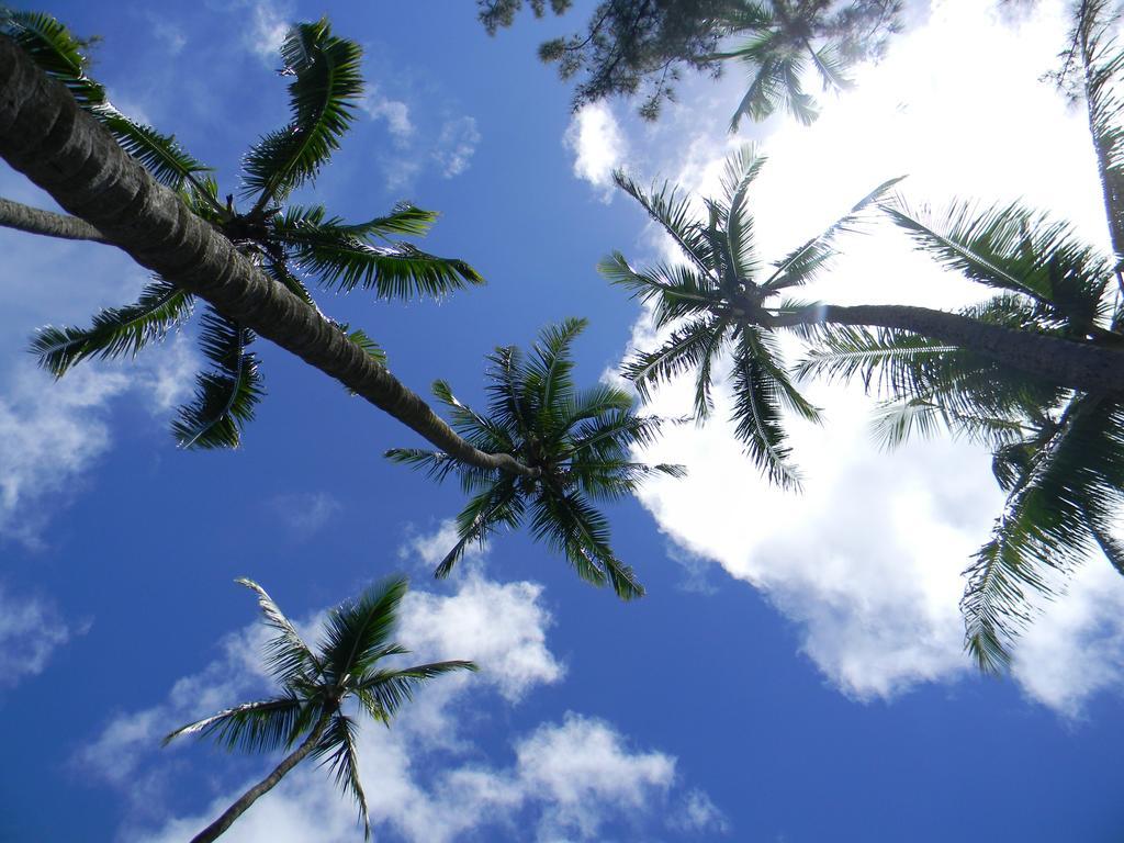 Island Goode'S - Luxury Adult Only Accommodation Near Hilo Papaikou Εξωτερικό φωτογραφία