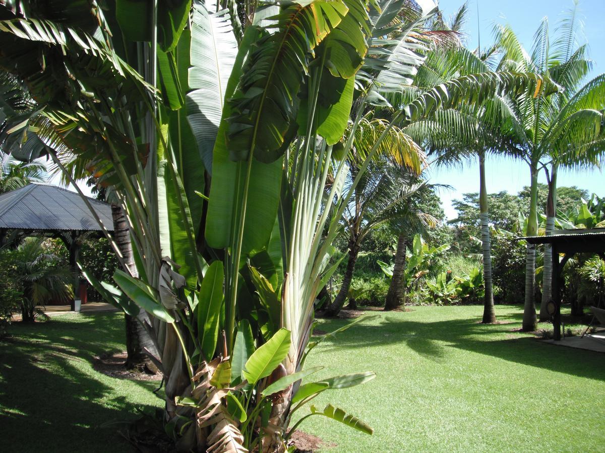 Island Goode'S - Luxury Adult Only Accommodation Near Hilo Papaikou Εξωτερικό φωτογραφία