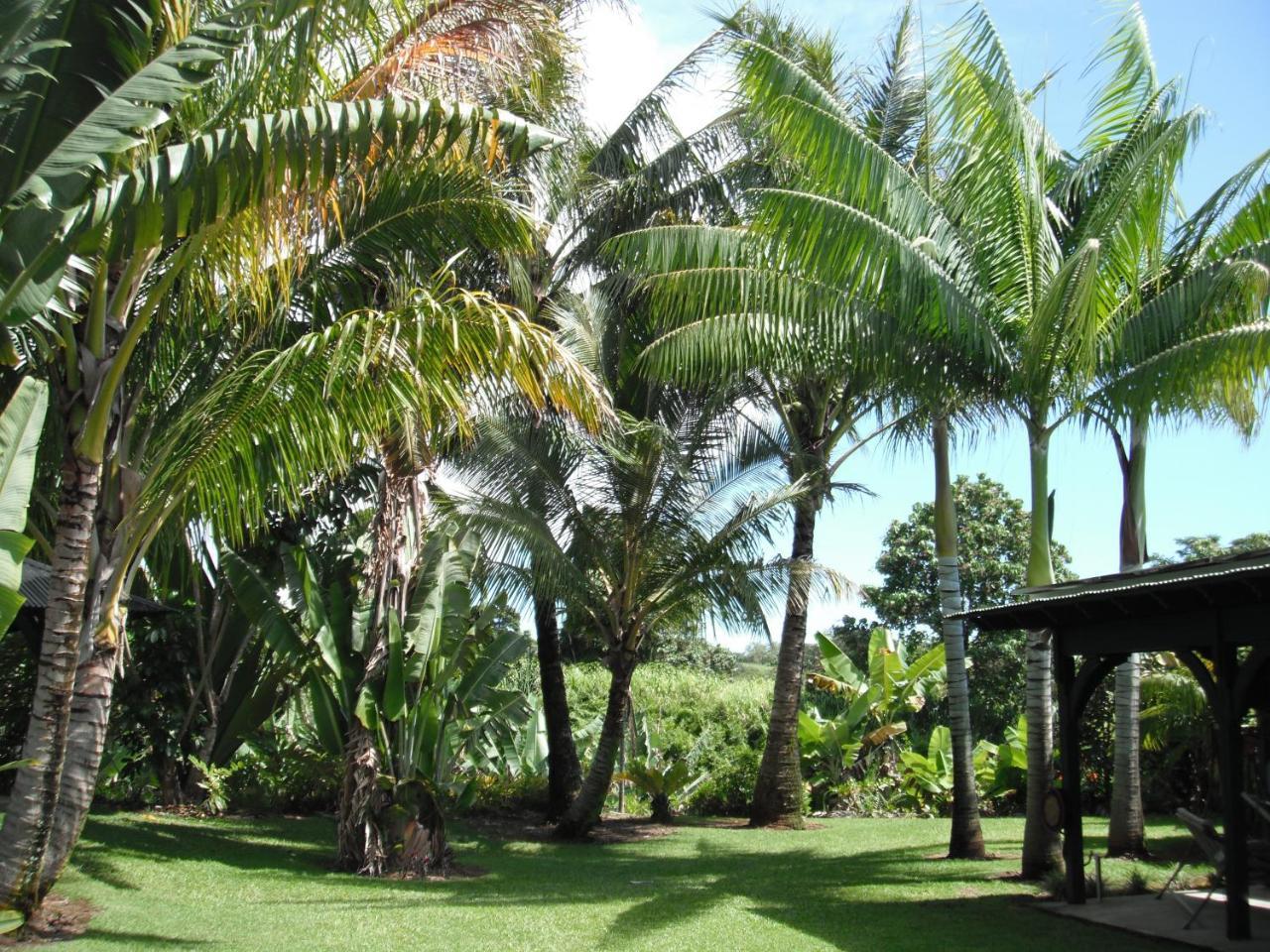 Island Goode'S - Luxury Adult Only Accommodation Near Hilo Papaikou Εξωτερικό φωτογραφία