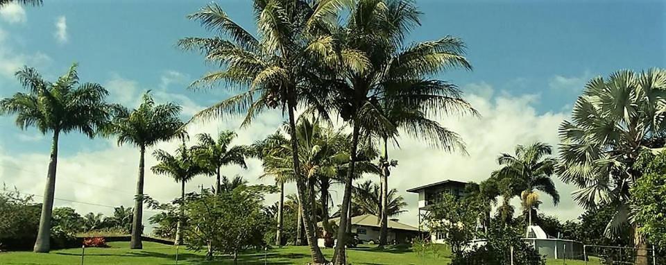 Island Goode'S - Luxury Adult Only Accommodation Near Hilo Papaikou Εξωτερικό φωτογραφία